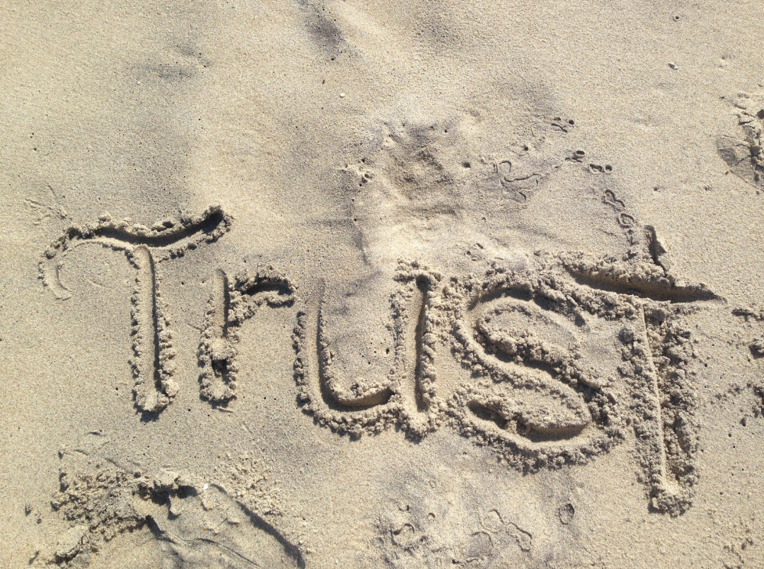 monday meditation – trust in the Lord and wait patiently
