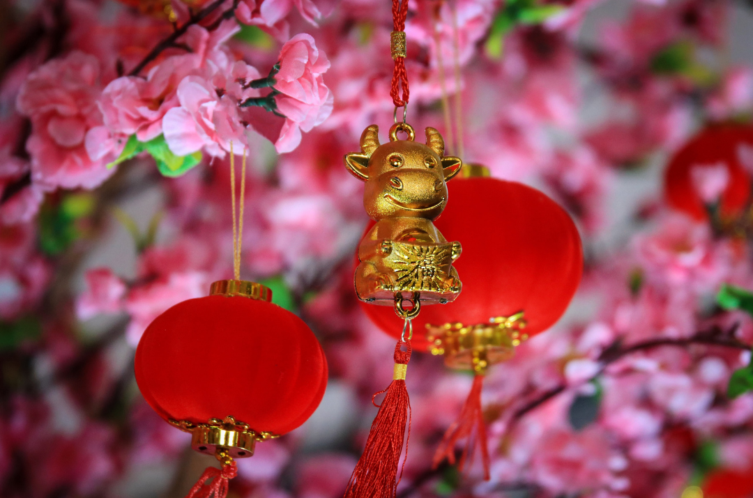 Happy Friday and a lovely lunar new year!