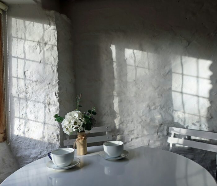 The Rituals of Elevated Wellness